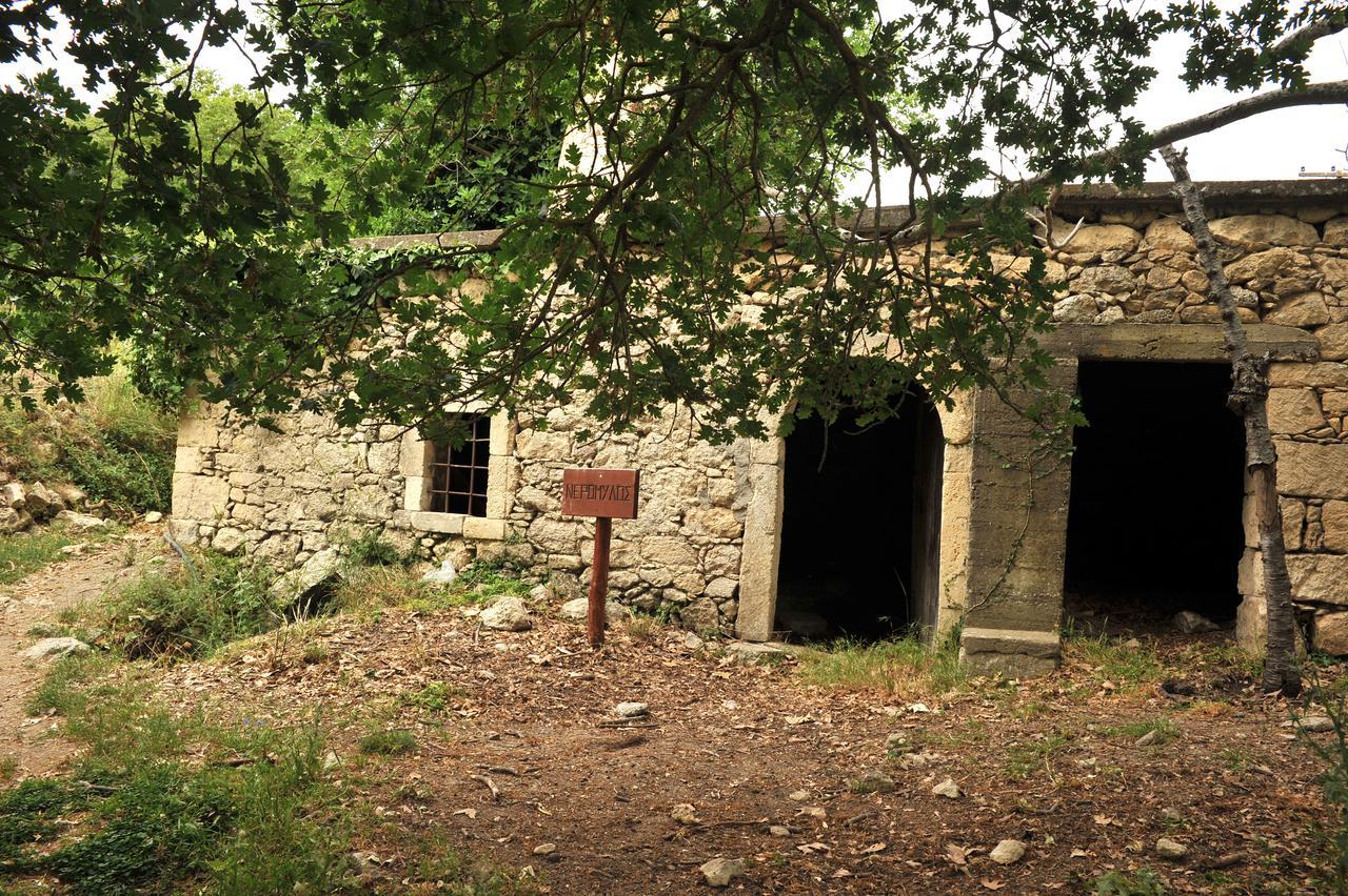 Villa Axenti Agios Thomas  외부 사진