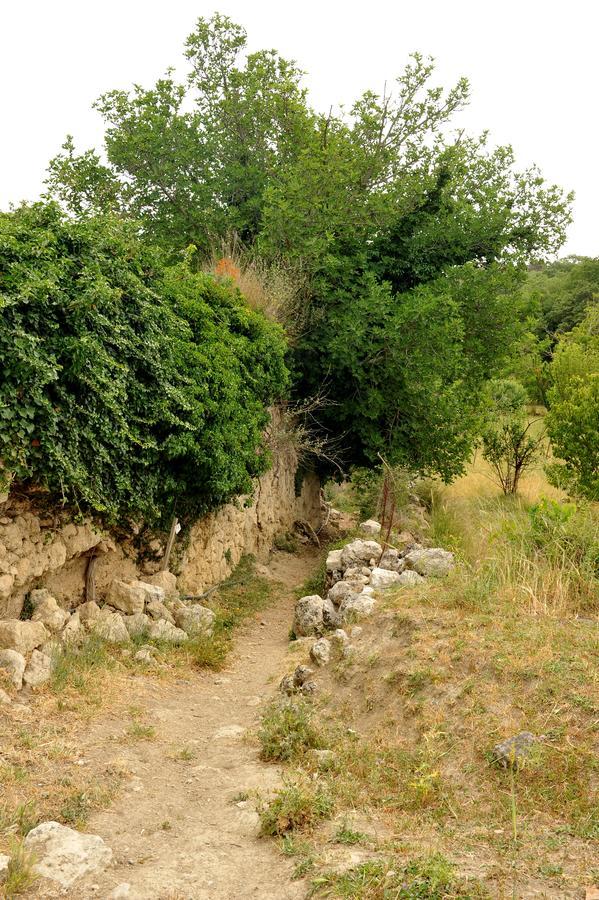 Villa Axenti Agios Thomas  외부 사진